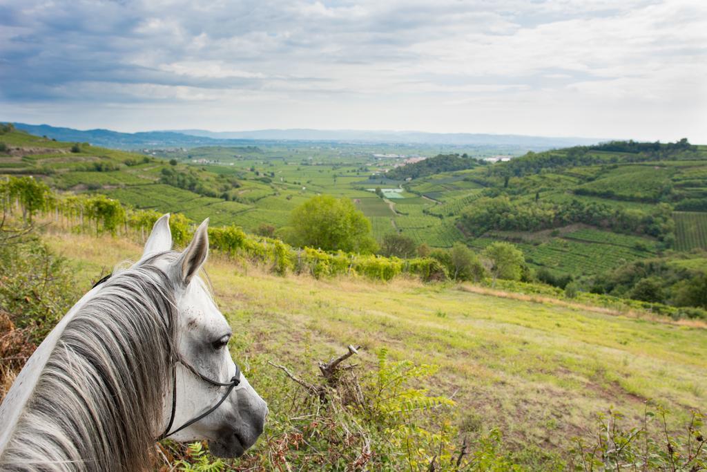 Monteforte dʼAlpone Casa Costa Relais B&B المظهر الخارجي الصورة