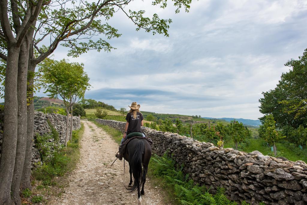 Monteforte dʼAlpone Casa Costa Relais B&B المظهر الخارجي الصورة