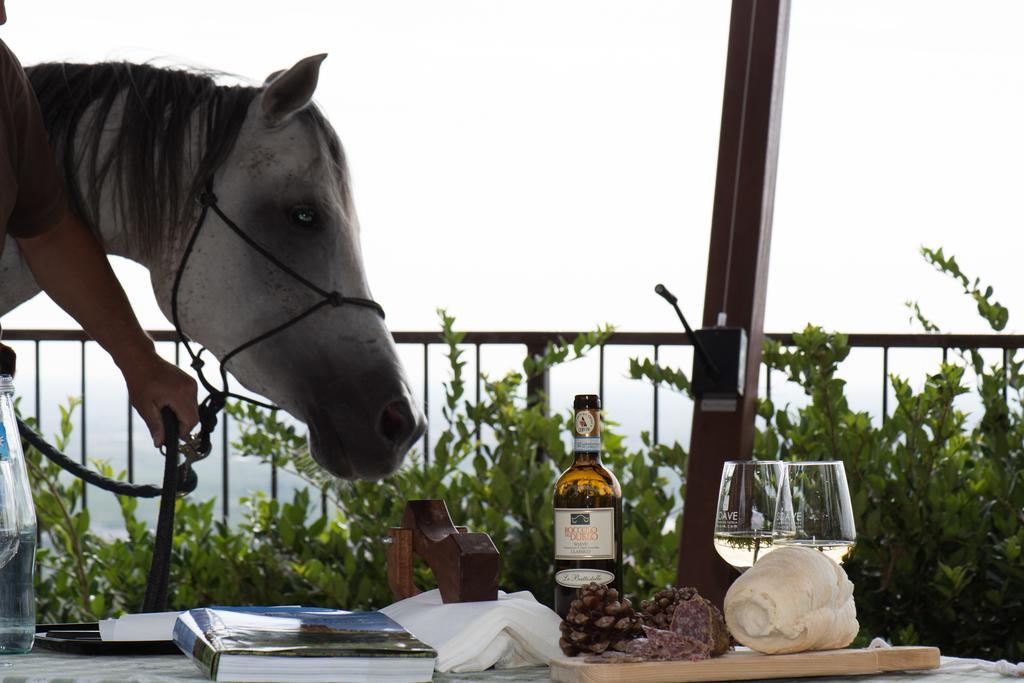 Monteforte dʼAlpone Casa Costa Relais B&B المظهر الخارجي الصورة