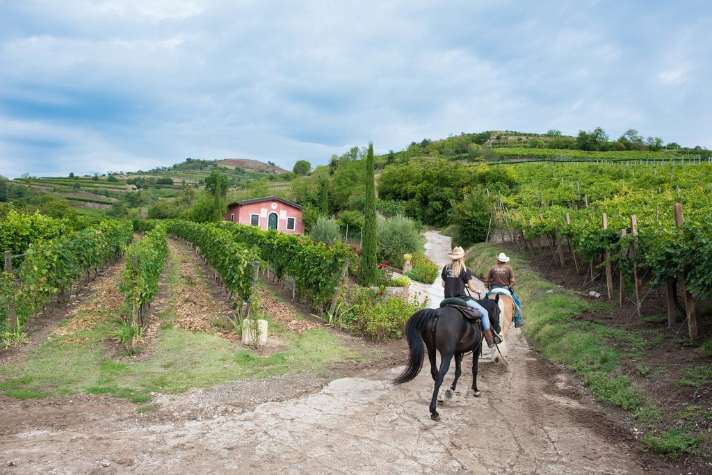 Monteforte dʼAlpone Casa Costa Relais B&B المظهر الخارجي الصورة