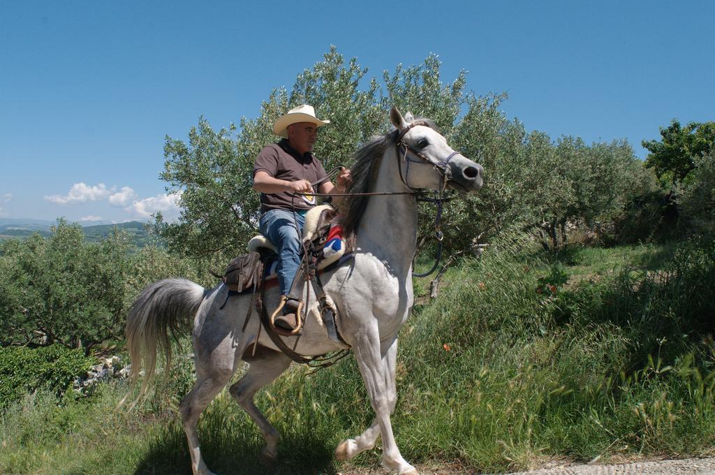 Monteforte dʼAlpone Casa Costa Relais B&B المظهر الخارجي الصورة