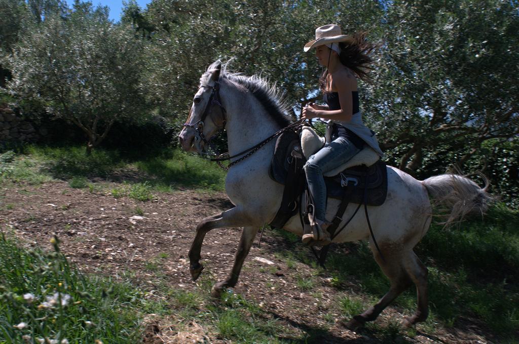 Monteforte dʼAlpone Casa Costa Relais B&B المظهر الخارجي الصورة