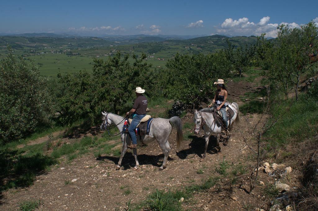 Monteforte dʼAlpone Casa Costa Relais B&B المظهر الخارجي الصورة