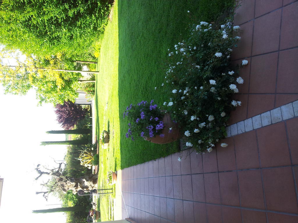 Monteforte dʼAlpone Casa Costa Relais B&B المظهر الخارجي الصورة