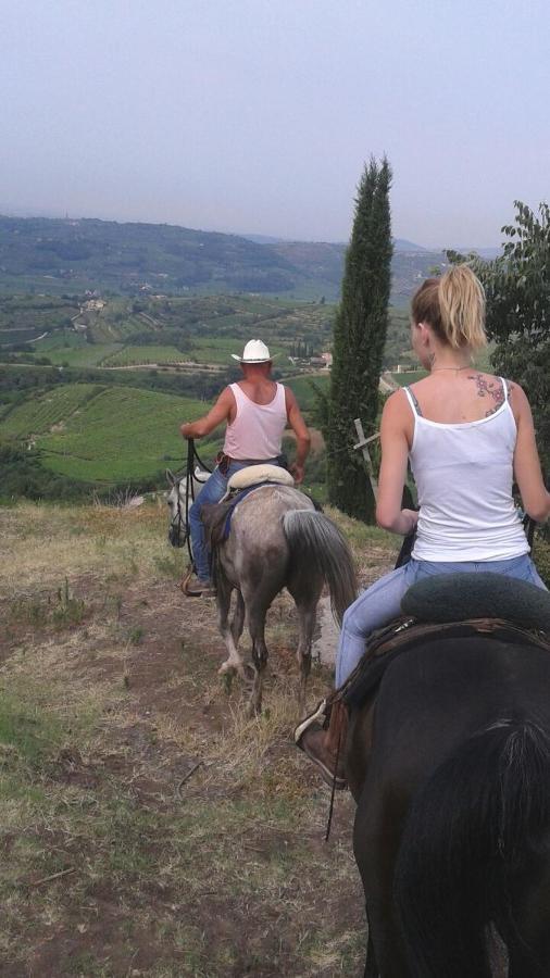 Monteforte dʼAlpone Casa Costa Relais B&B المظهر الخارجي الصورة
