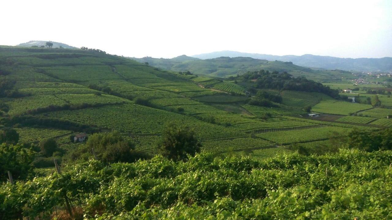 Monteforte dʼAlpone Casa Costa Relais B&B المظهر الخارجي الصورة